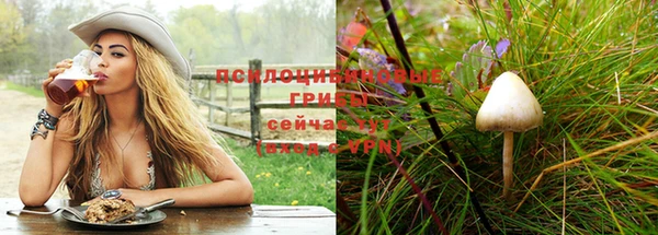метадон Заволжск