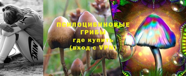 метадон Заволжск