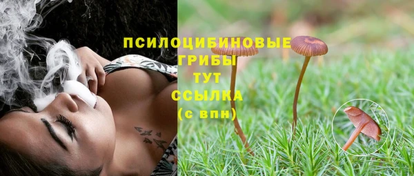 таблы Заводоуковск
